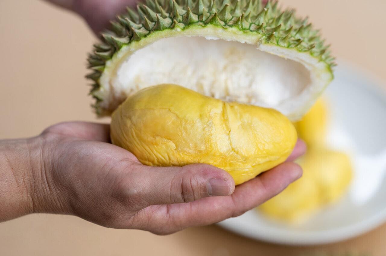 Bolehkah Balita Makan Durian Bolehkah Balita Makan Durian